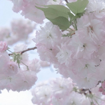 Furry兽设设计灵感合集兽圈社群